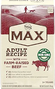 Nutro max kibble dog food 
