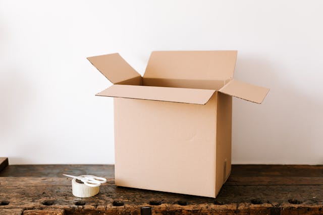 A cardboard box can be repurposed as a German Shepherd whelping box 